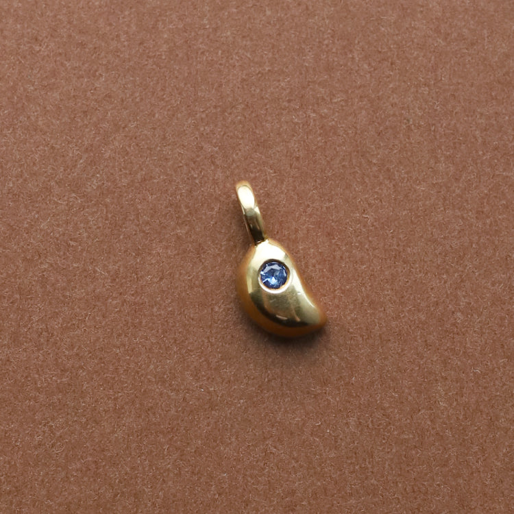 swim charm GD