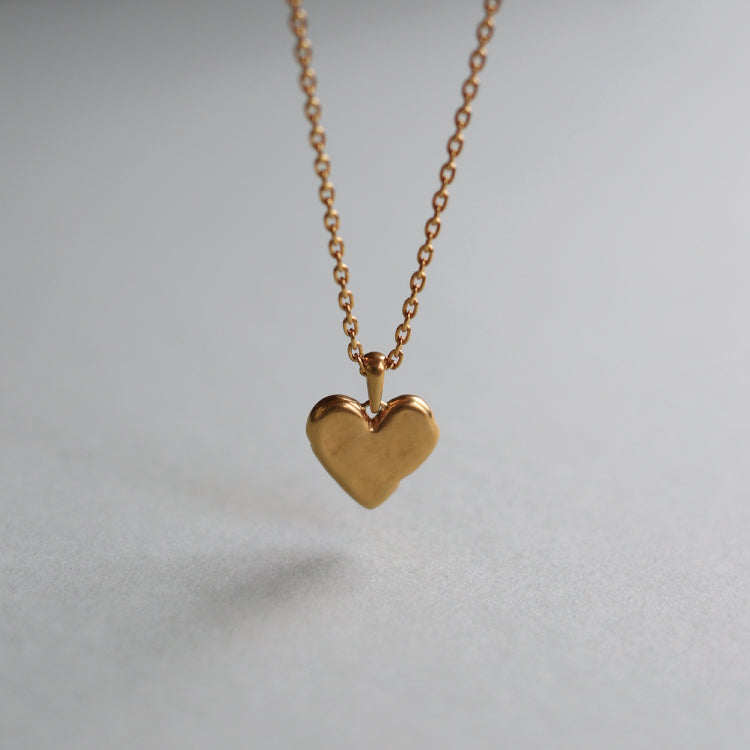H silphium necklace GD