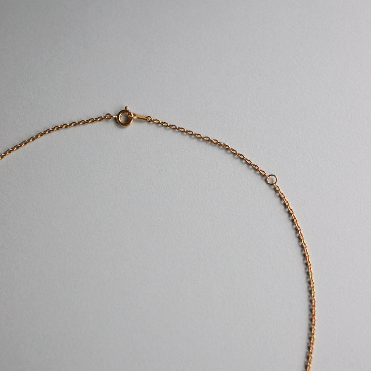 H silphium necklace GD