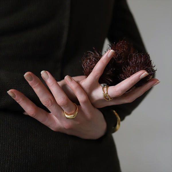 fate ring GD