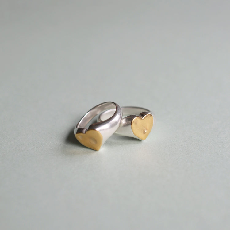 H signet ring MIX