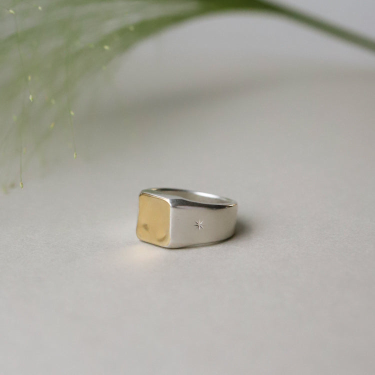 【受注販売】【TENDRE×TEN.】スウェイリング
