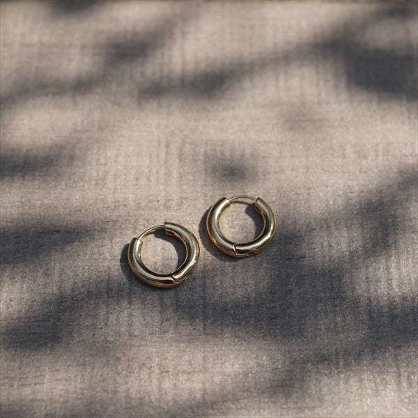 interpose earrings