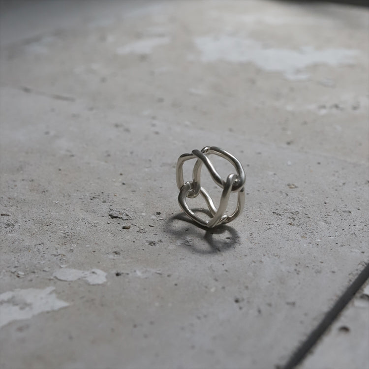 fate ring SV