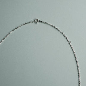 【PRE ORDER】H silphium necklace SV